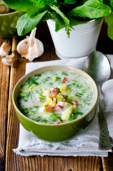 Summer cold soup, okroshka — Stock Photo, Image