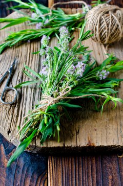 taze ot: kekik, biberiye ve tarhun