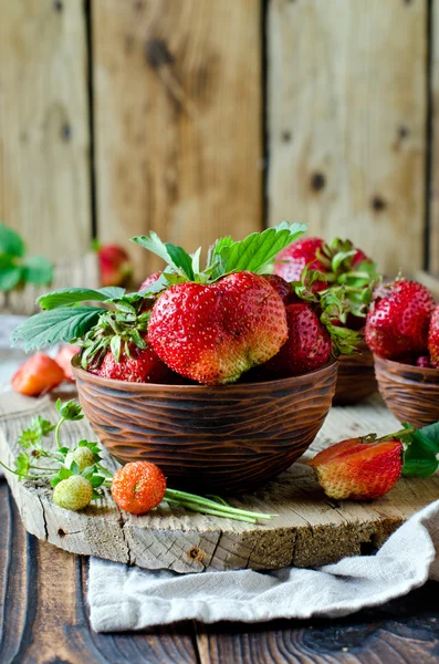 Fresas frescas en un tazón — Foto de Stock
