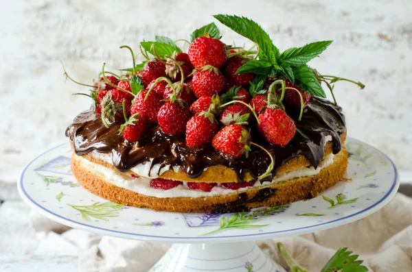 クリーム、いちごおよびチョコレート スポンジ ケーキ — ストック写真