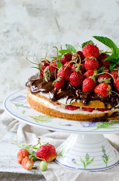 Piškotový dort se šlehačkou, jahodami a čokoládou — Stock fotografie