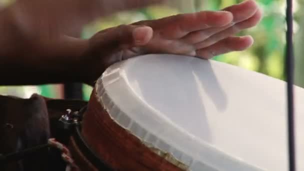 Конга, барабаны — стоковое видео
