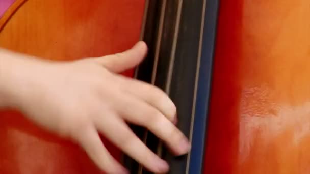 Man fast playing double bass — Stock Video