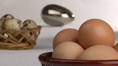 organik ve genetiği değiştirilmiş gıda, yumurta.