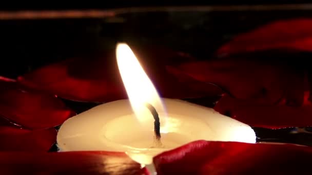 Candele e petali di fiori — Video Stock