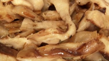 Gıda, shiitake mantar