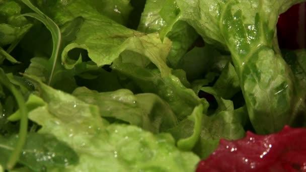 Comida, ensalada, lechuga, rúcula — Vídeos de Stock