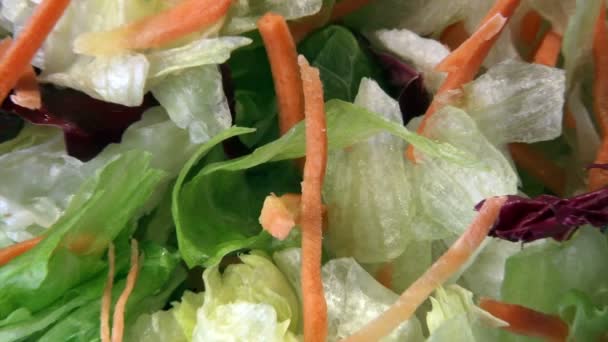 Salad, lettuce, cabbage, carrots — Stockvideo