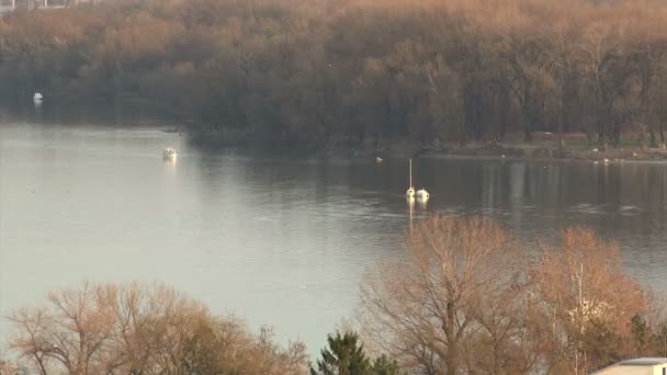 多瑙河河，小船 — 图库视频影像