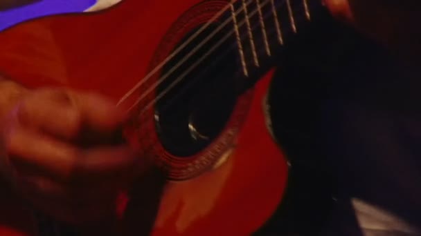 Acoustic guitar — Stock Video