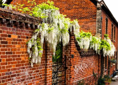 lavenham, İngiltere'de, suffolk, İngiltere'de, bir yazlık güzel tuğla işe