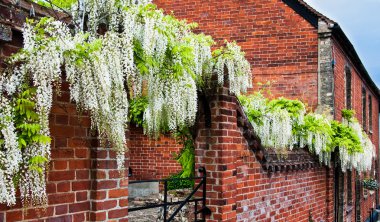 lavenham, İngiltere'de, suffolk, İngiltere'de, bir yazlık güzel tuğla işe