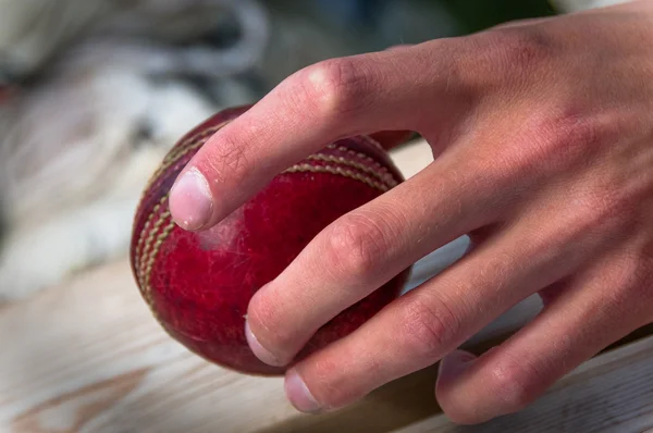 Cricket Ball in hand