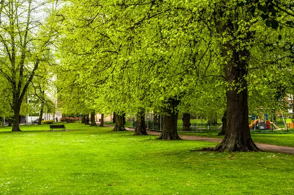 Groene stadspark met een bankje in achtergrond — Stockfoto