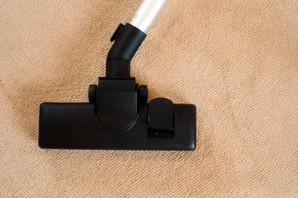 modern elektrikli süpürge bej halı başkanı