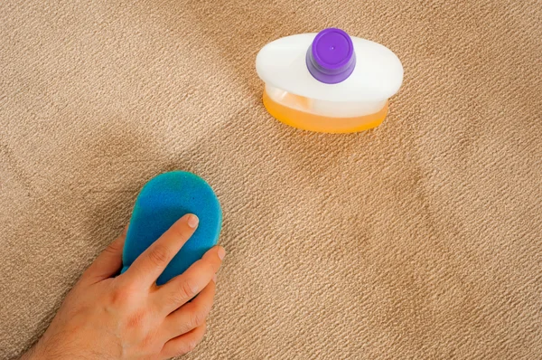 Cleaning carpet with sponge — Stock Photo, Image