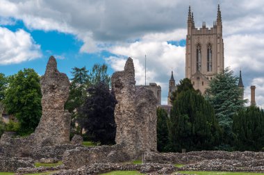 Abbey bahçeleri, bury st edmunds, suffolk, İngiltere