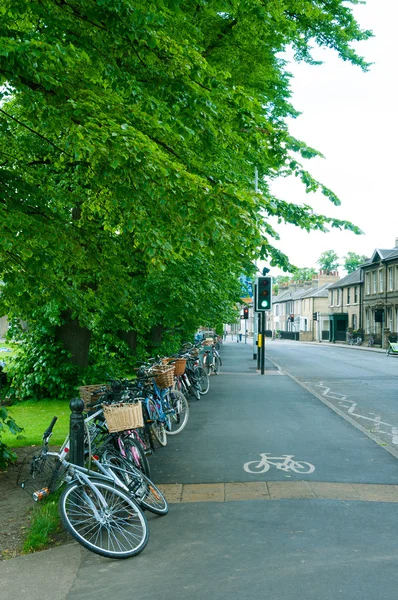 Cyklar i cambridge, england, uk — Stockfoto