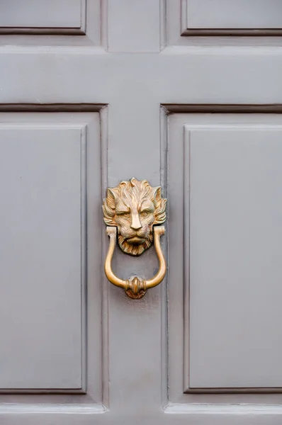 Gold colored lion head door knocker — Stock Photo, Image