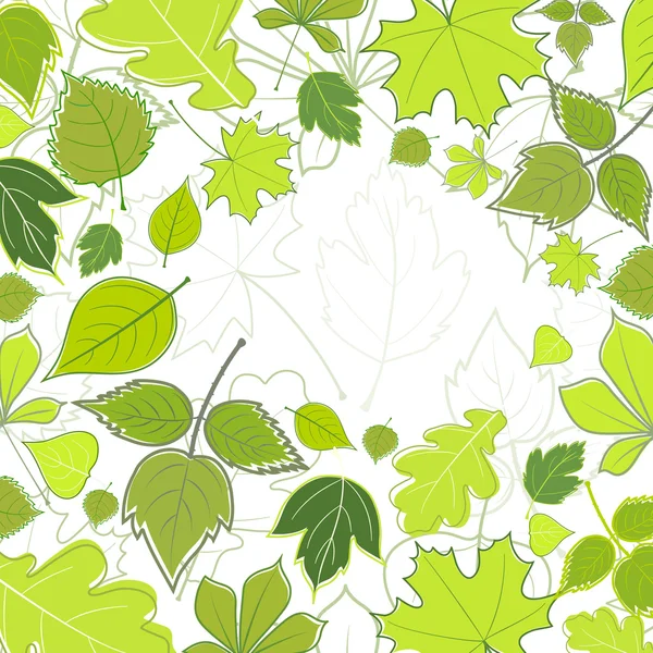 Yeşil yaprak ile mesaj için arka plan — Stok Vektör