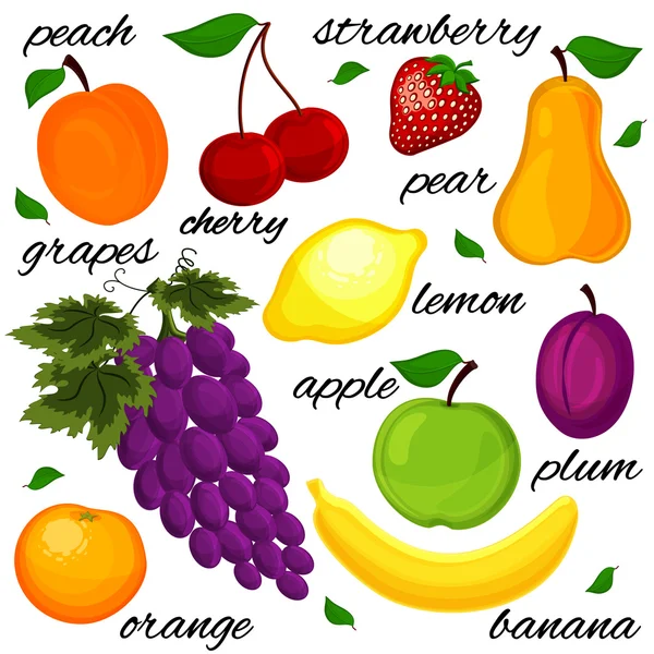 Set it is realistic the drawn fruit. — Stock Vector