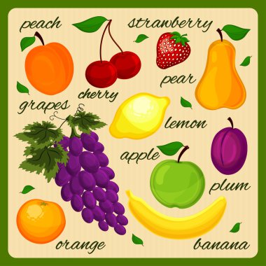 set gerçekçi çizilmiş meyve.