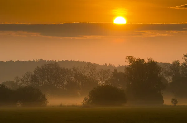 Sunrise puslu peyzaj içinde