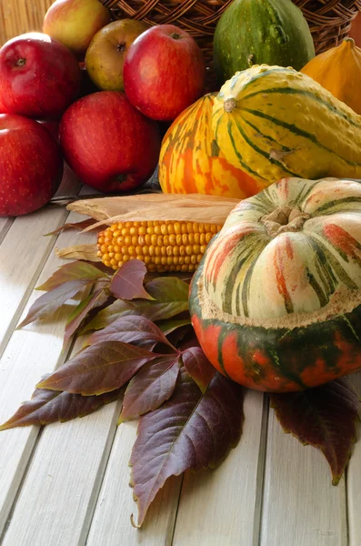 sonbahar sebze ve meyveler