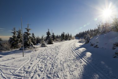 güzel bir kış günü