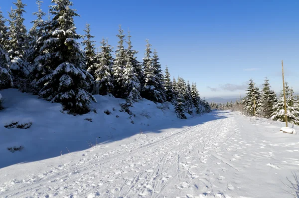 Paesaggio invernale — Foto Stock