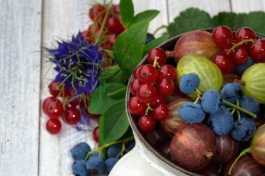 taze meyve ile natürmort