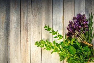 Tahta masadaki taze bitkiler.