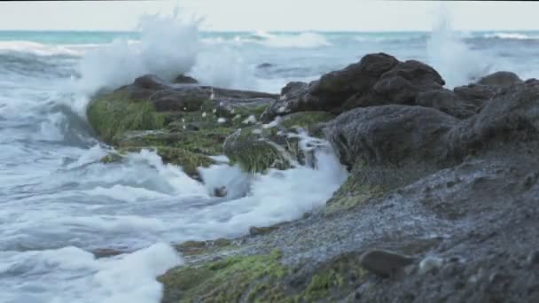 Olas aplastando — Vídeo de stock