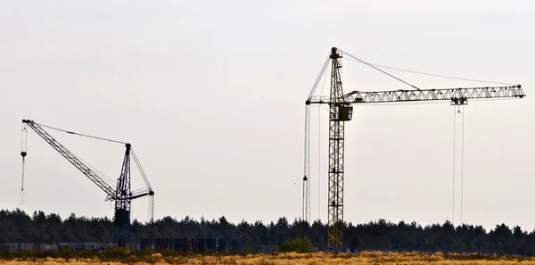 Deux grues — Photo