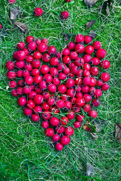 Corazón en la hierba — Foto de Stock