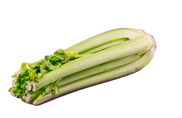 Celery — Stock Photo, Image