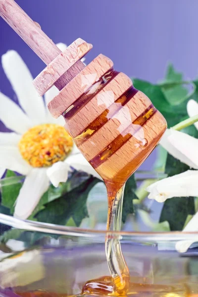 Colher arborizada com mel — Fotografia de Stock