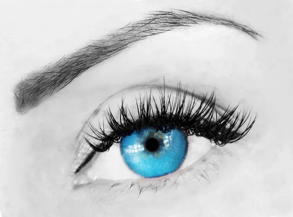 Auge mit buschigen Wimpern — Stockfoto