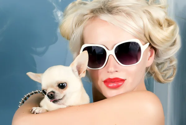 Vacker kvinna i solglasögon med liten chihuahua — Stockfoto