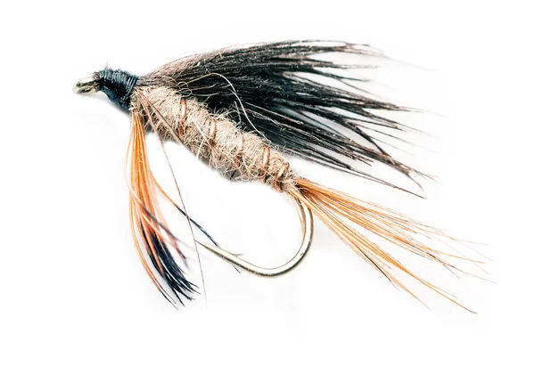 Fishing fly — Stock Photo, Image