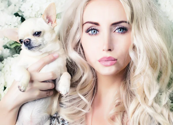 Glamour girl with chihuahua — Stock Photo, Image