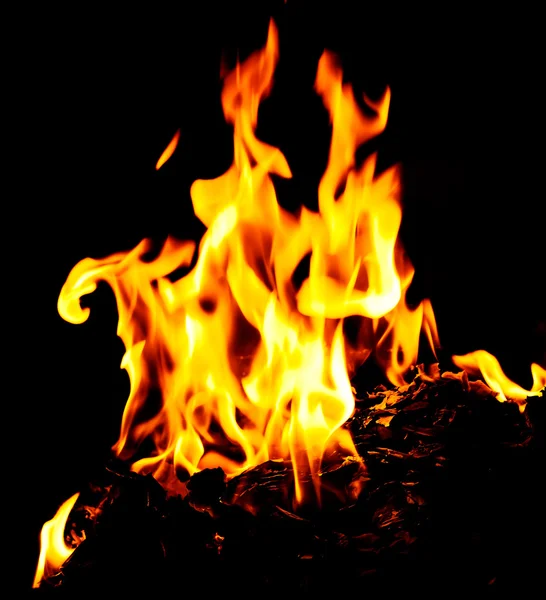 Bright fire — Stock Photo, Image