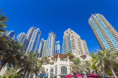 Dubai marinası