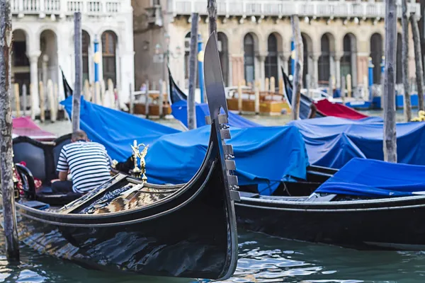 Gondoler i Grand canal, venice, Italien - Stock-foto