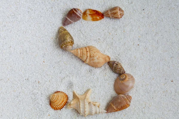 Cartas de conchas marinas, concepto de verano —  Fotos de Stock