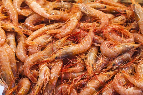 Shrimps (Parapenaeus longirostris) — Stock Photo, Image