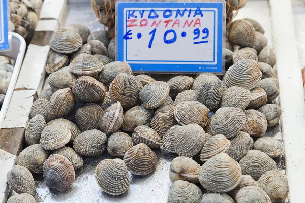 Společné cockle (Cerastoderma jedlý) — Stock fotografie