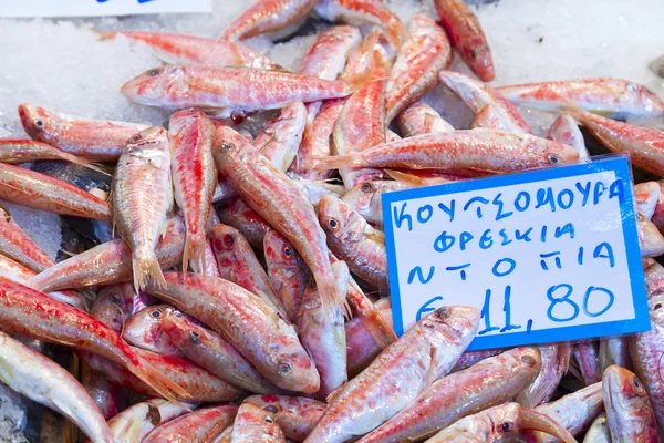 Red pěticípých hvězd (Mullus barbatus) — Stock fotografie