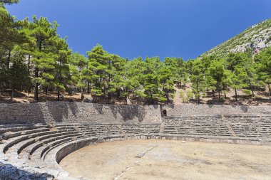 delphi Yunanistan'ın antik tiyatroda