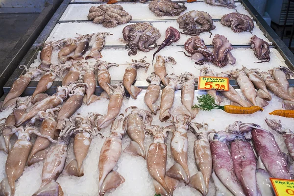 Calamares frescos, mercado de pescado —  Fotos de Stock